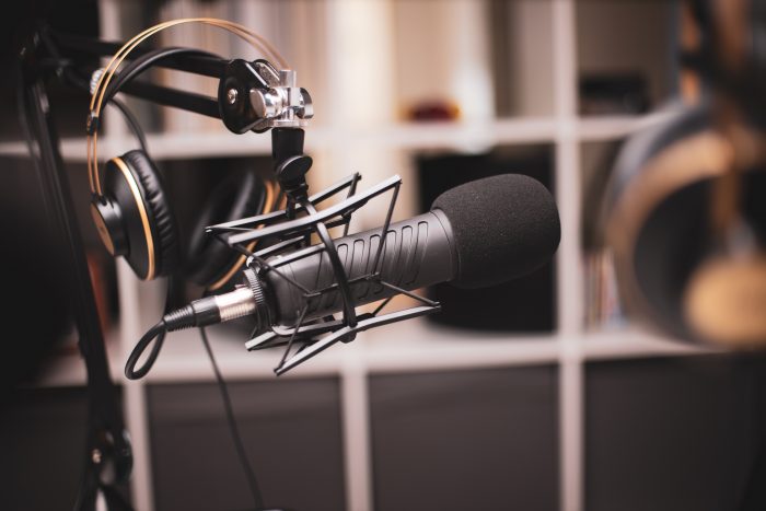 Microphones in details