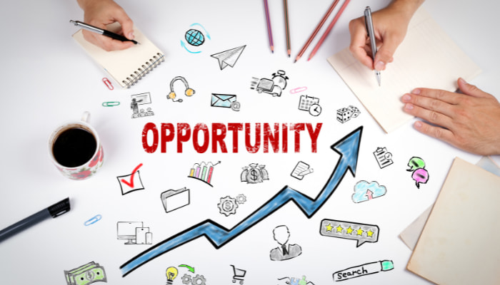 Is an MLM a viable full time business opportunity Is an MLM a viable full time business opportunity