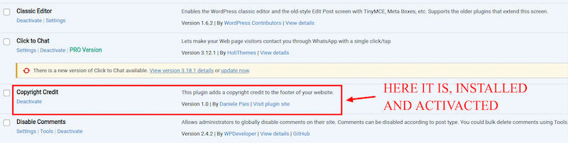 your brand new plugin installed and activated