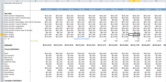 profit and loss