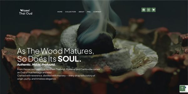 Website Design Phuket 13