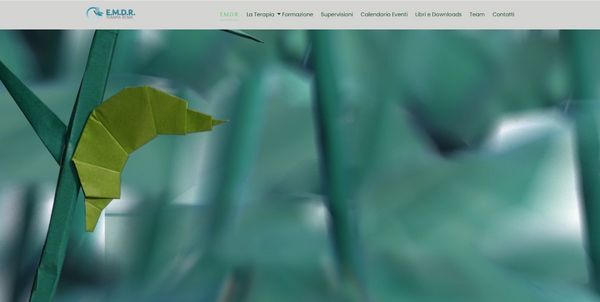 Website Design Phuket 28